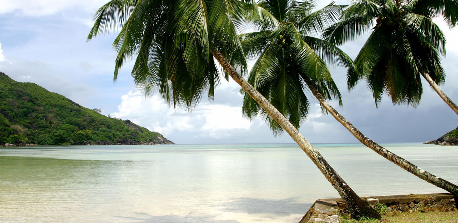 site-concepts-hospitality-cap-ternay-seychelles-05