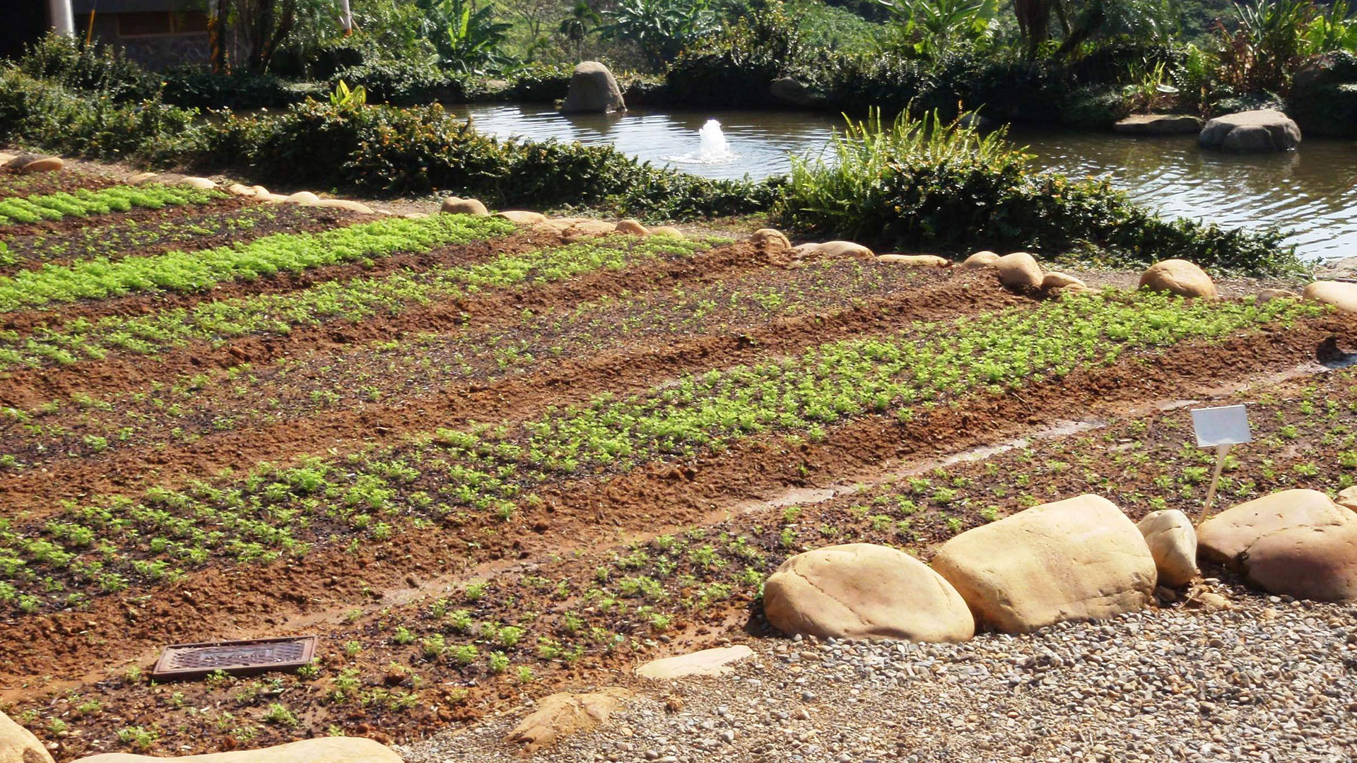 site-concepts-hospitality-hsinchi-hsinpu-eco-community-05