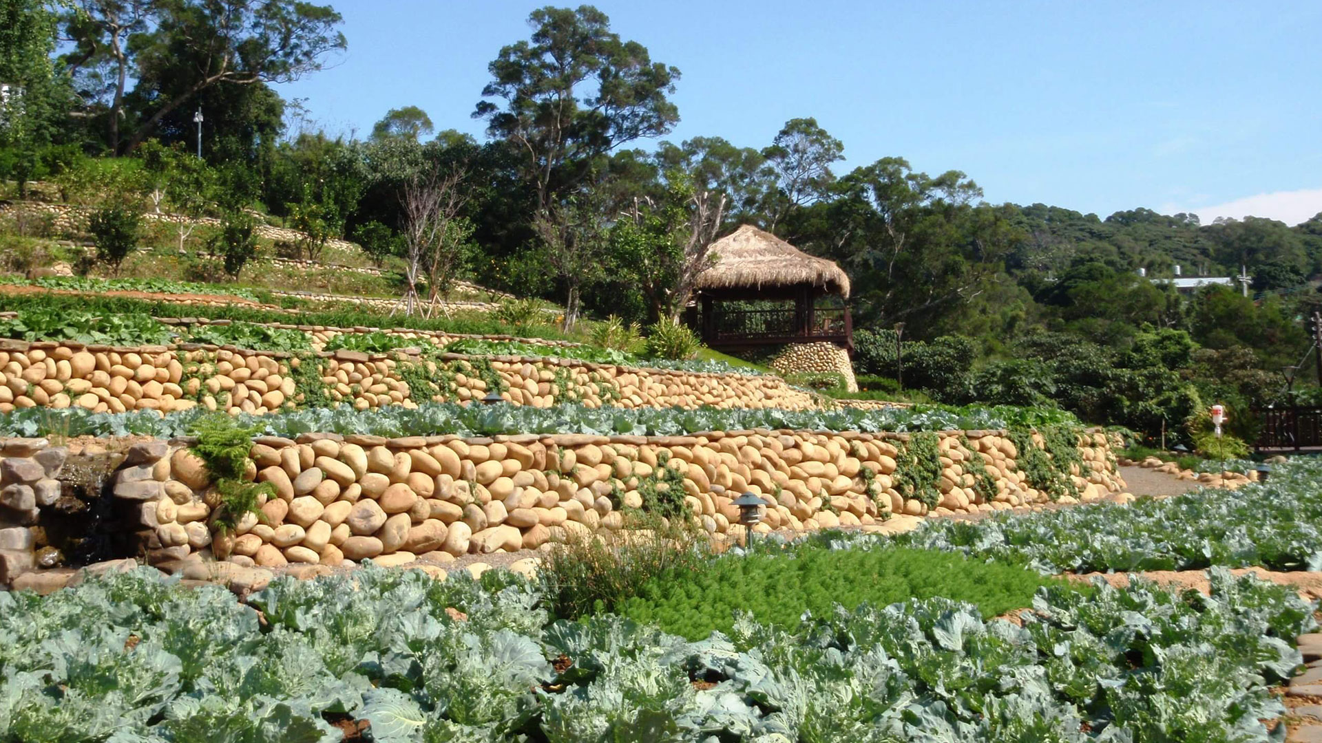 site-concepts-hospitality-hsinchi-hsinpu-eco-community-06