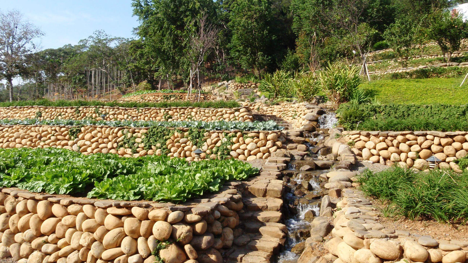 site-concepts-hospitality-hsinchi-hsinpu-eco-community-07