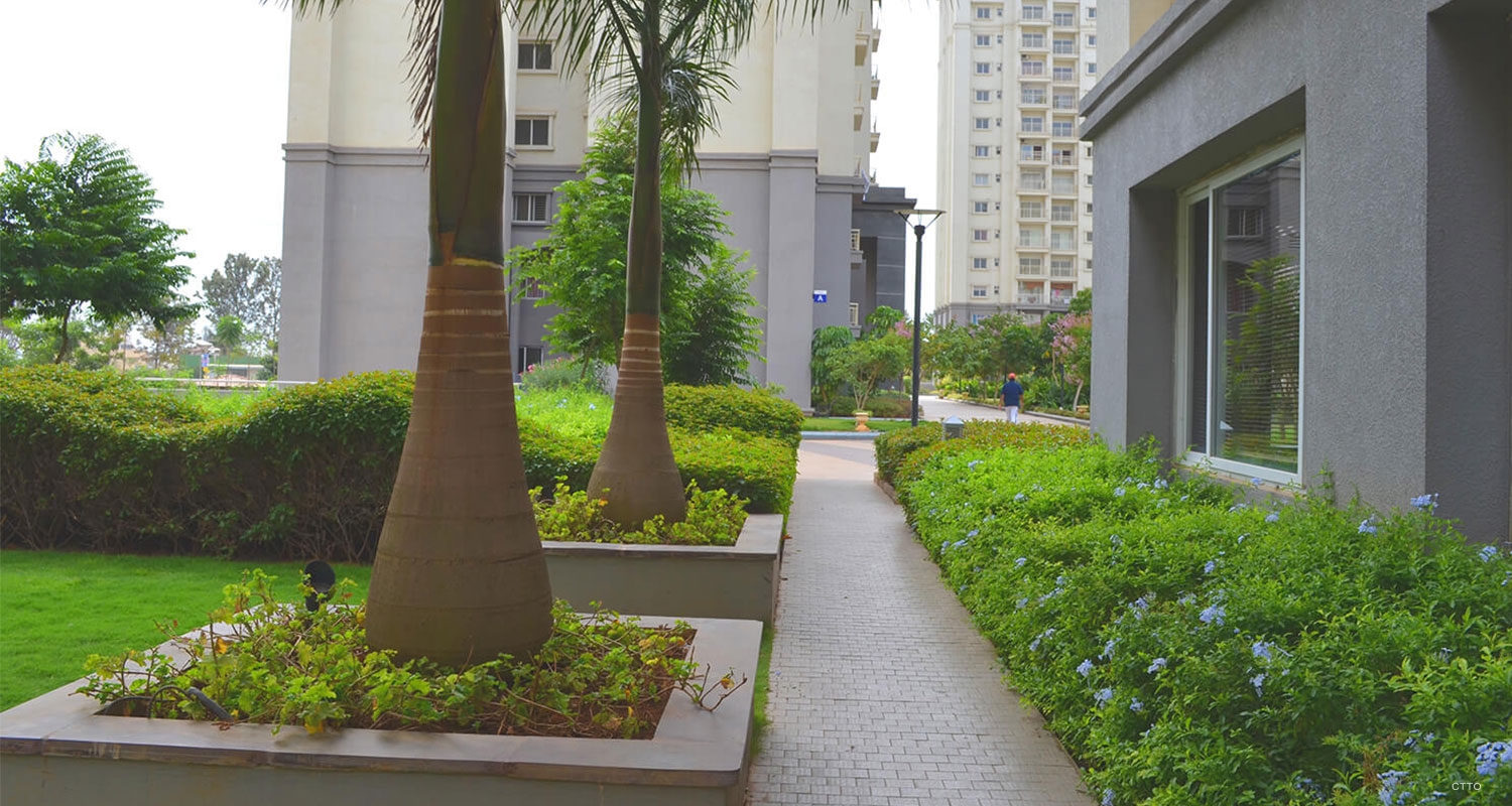 site-concepts-residential-godrej-the-woodsman-01