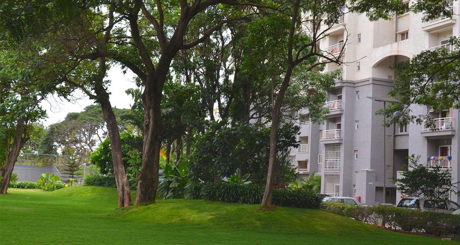 site-concepts-residential-godrej-the-woodsman-06