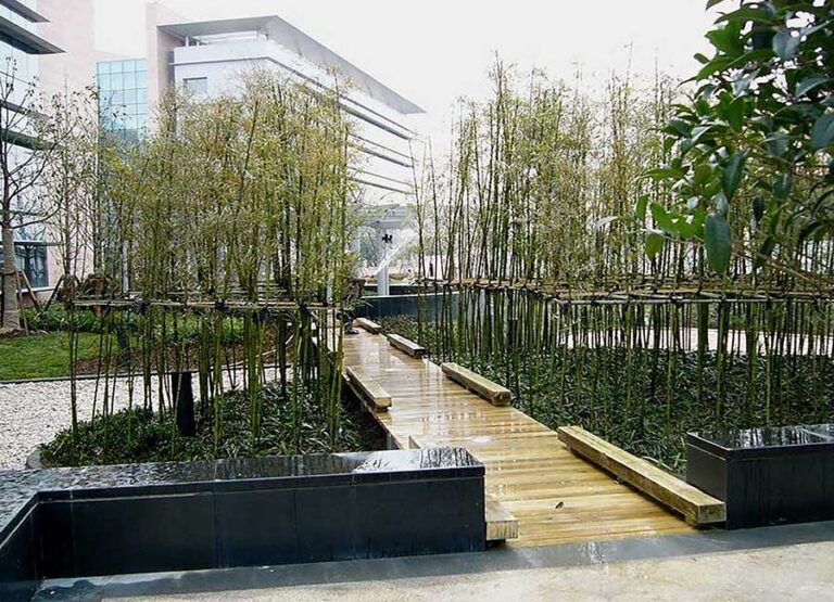 site-concepts-institutional-ibp-international-park-06